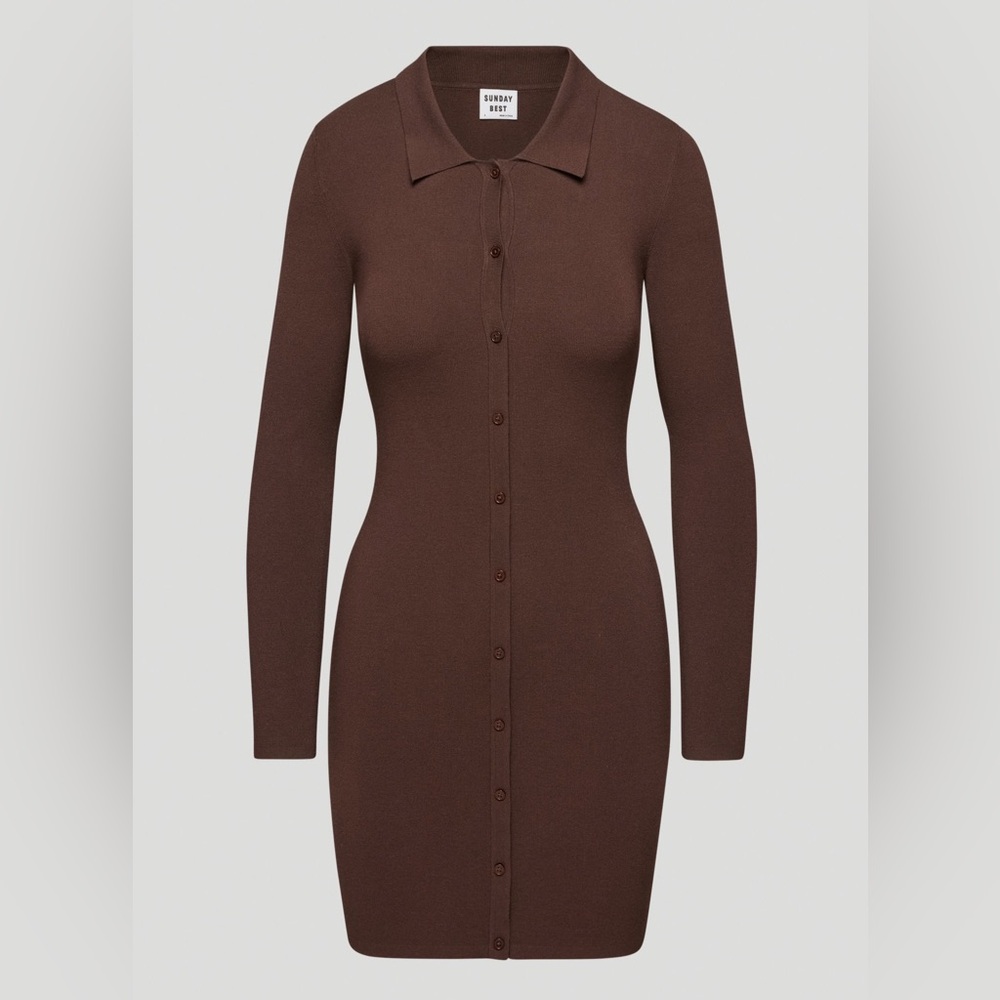NWT ARITZIA SUNDAY BEST Brown Long Sleeve Button-Up Ralph Mini Dress